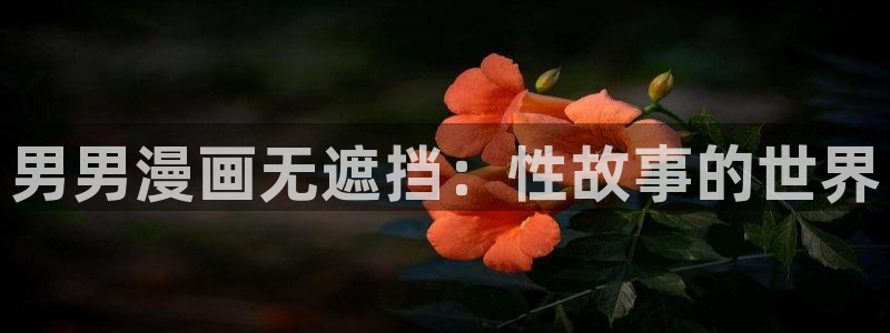 耽漫网之家最新章节更新：男男漫画无遮挡：性故事的世界