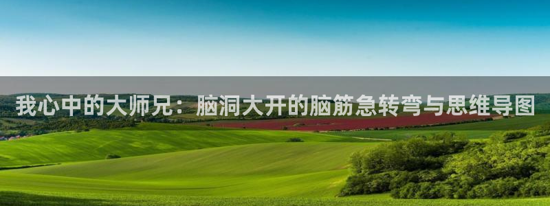 耽漫网之家的最新章节免费阅读：我心中的大师兄：脑洞大开的脑筋急转弯与思维导图