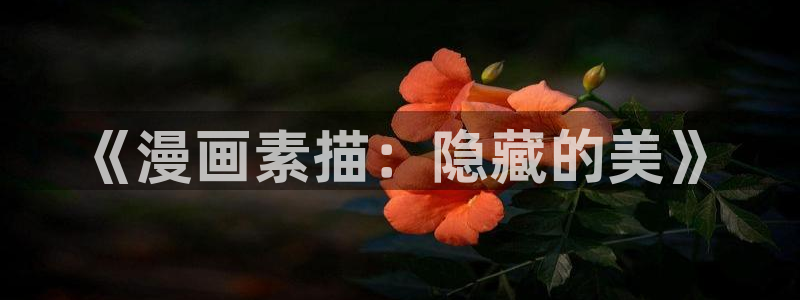 耽漫网下载：《漫画素描：隐藏的美》