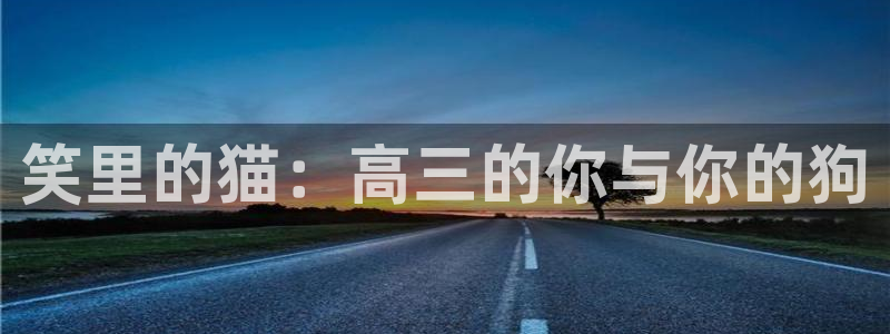 耽漫网之家动漫之家改名叫什么：笑里的猫：高三的你与你的狗