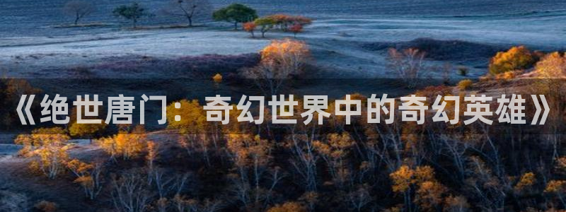 耽漫网之家：《绝世唐门：奇幻世界中的奇幻英雄》