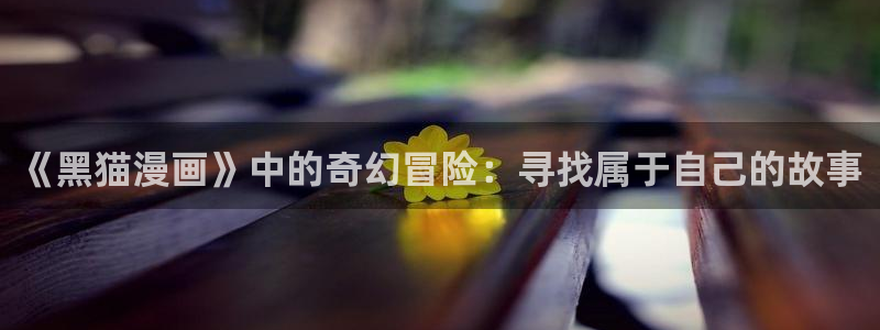 耽漫网最新小说推荐：《黑猫漫画》中的奇幻冒险：寻找属于自己的故事
