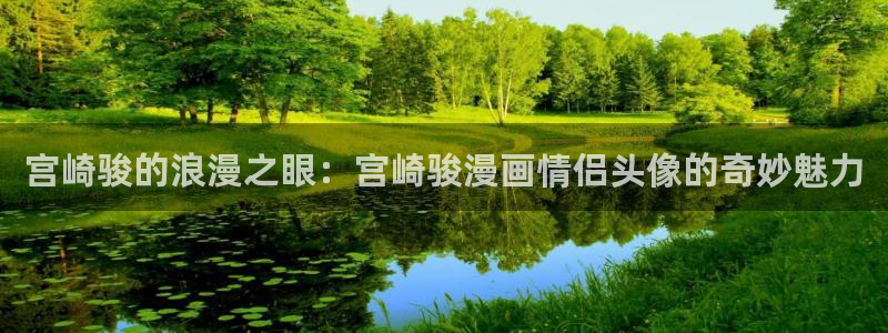 耽耽漫网：宫崎骏的浪漫之眼：宫崎骏漫画情侣头像的奇妙魅力